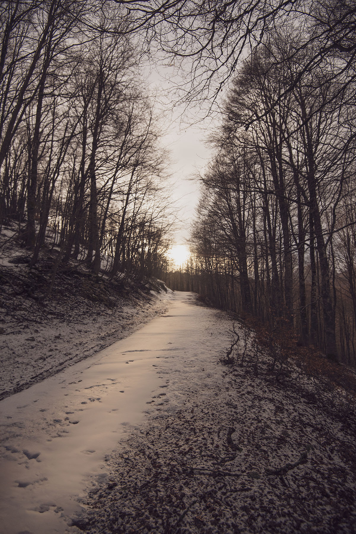 MonteViglio_FR/AQ_Gen205_1