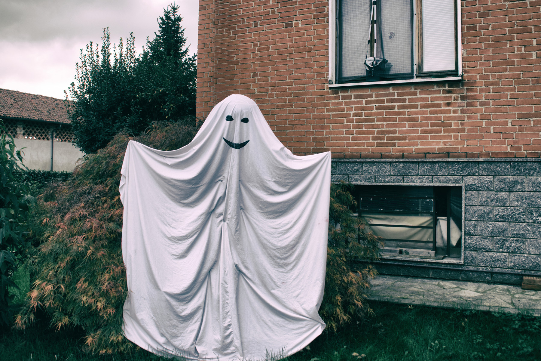 residui di carnevale ...???