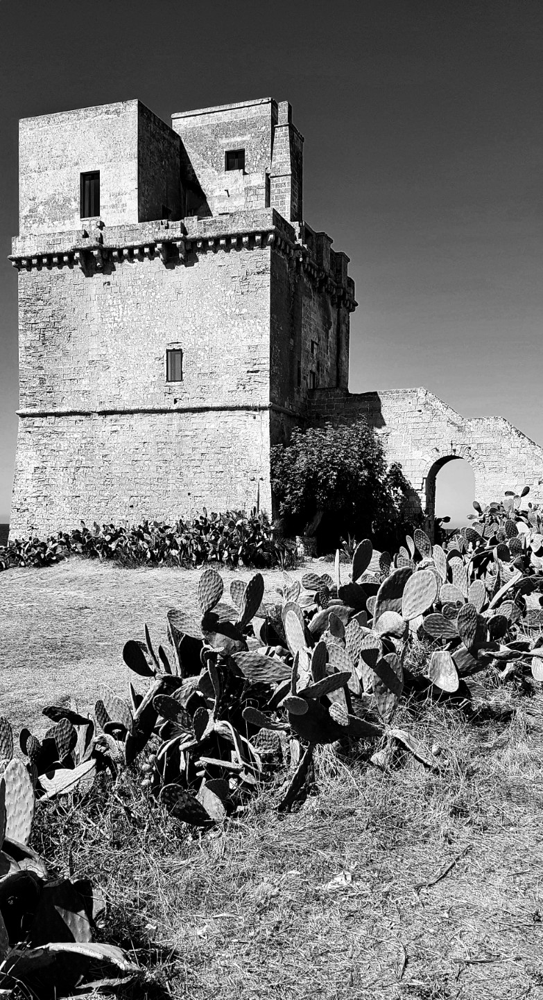 Torre di avvistamento...