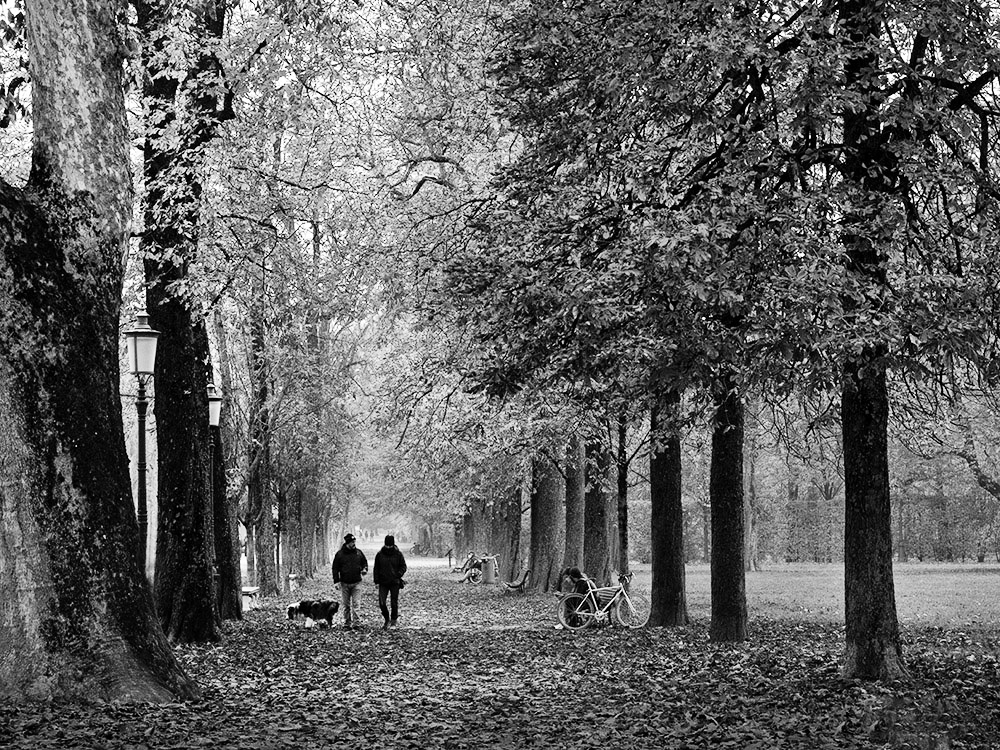 Parco Ducale - Inverno -