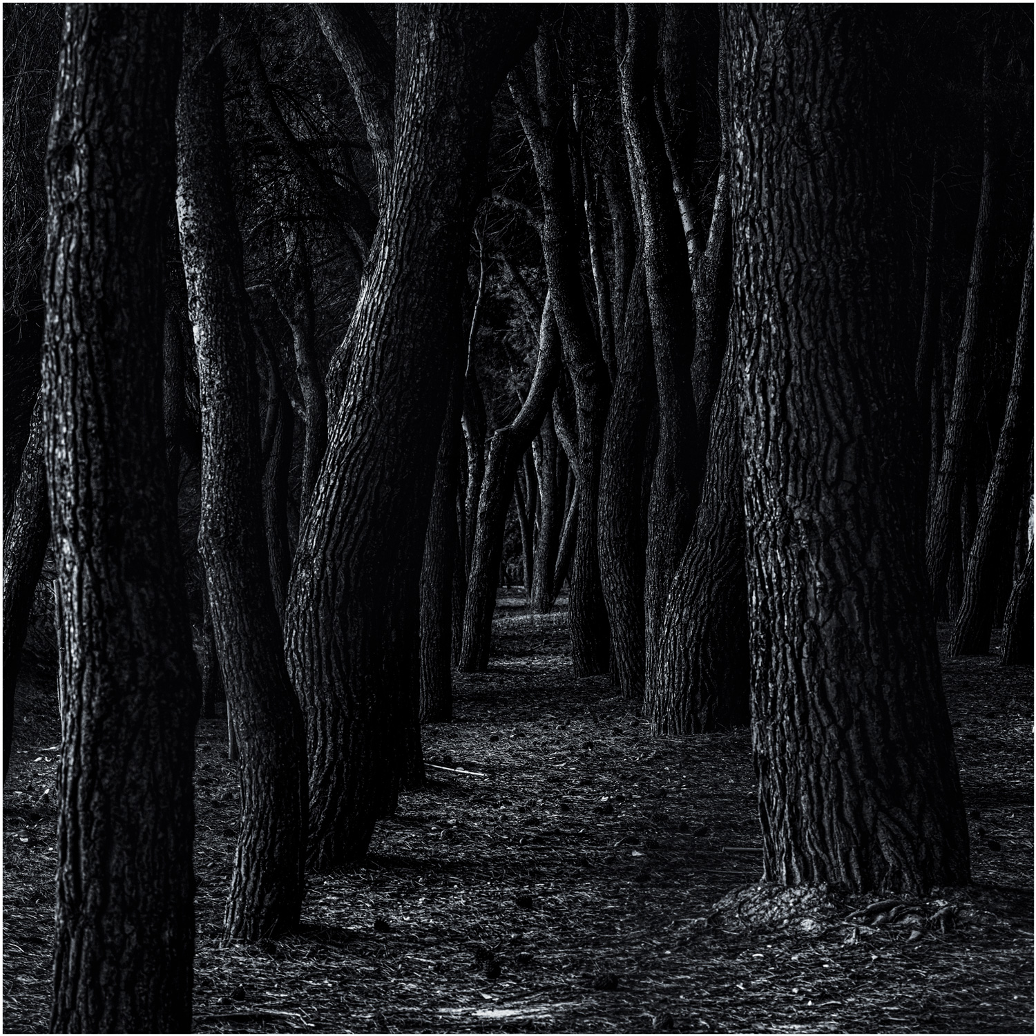 Ispirandomi impropriamente a Michael Kenna