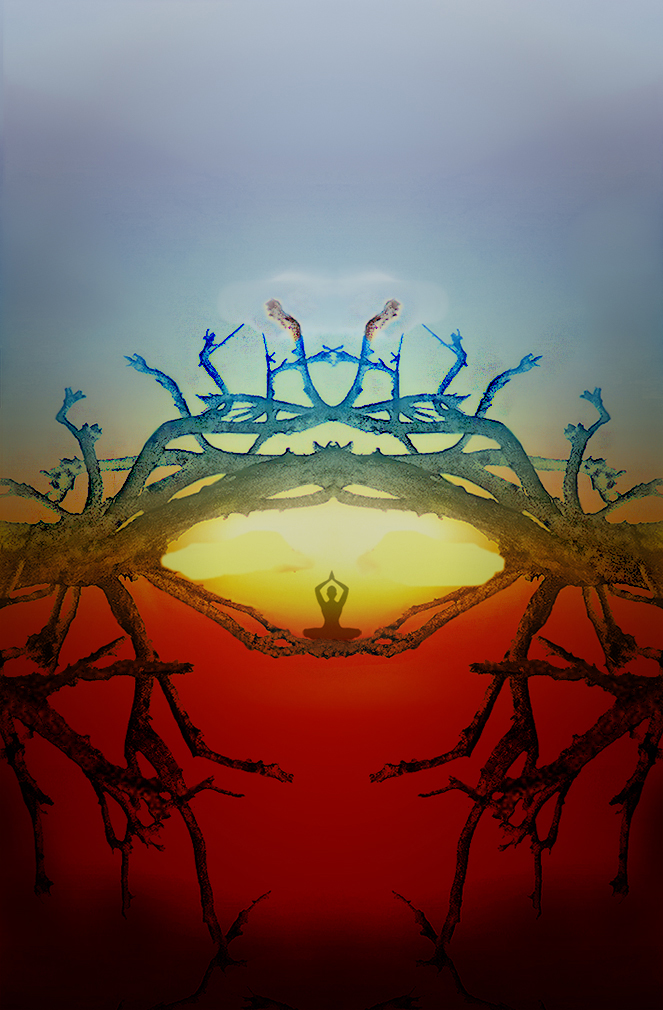 armoonia degli opposti