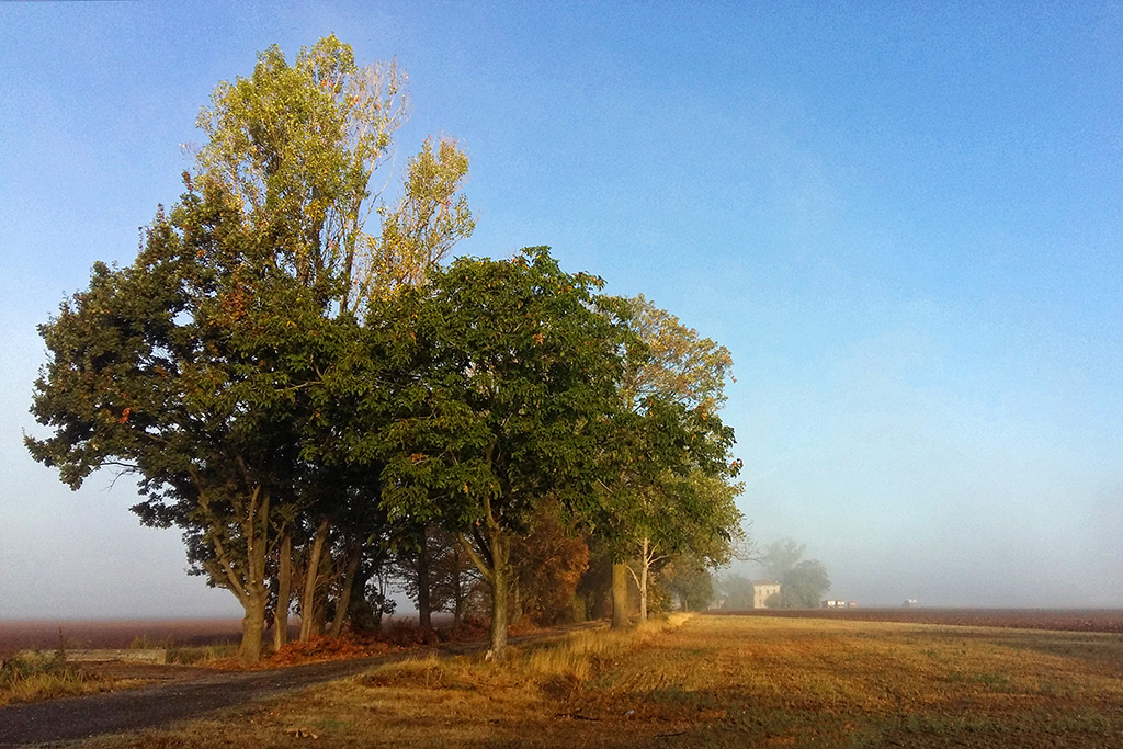 Semplicemente campagna...foschia