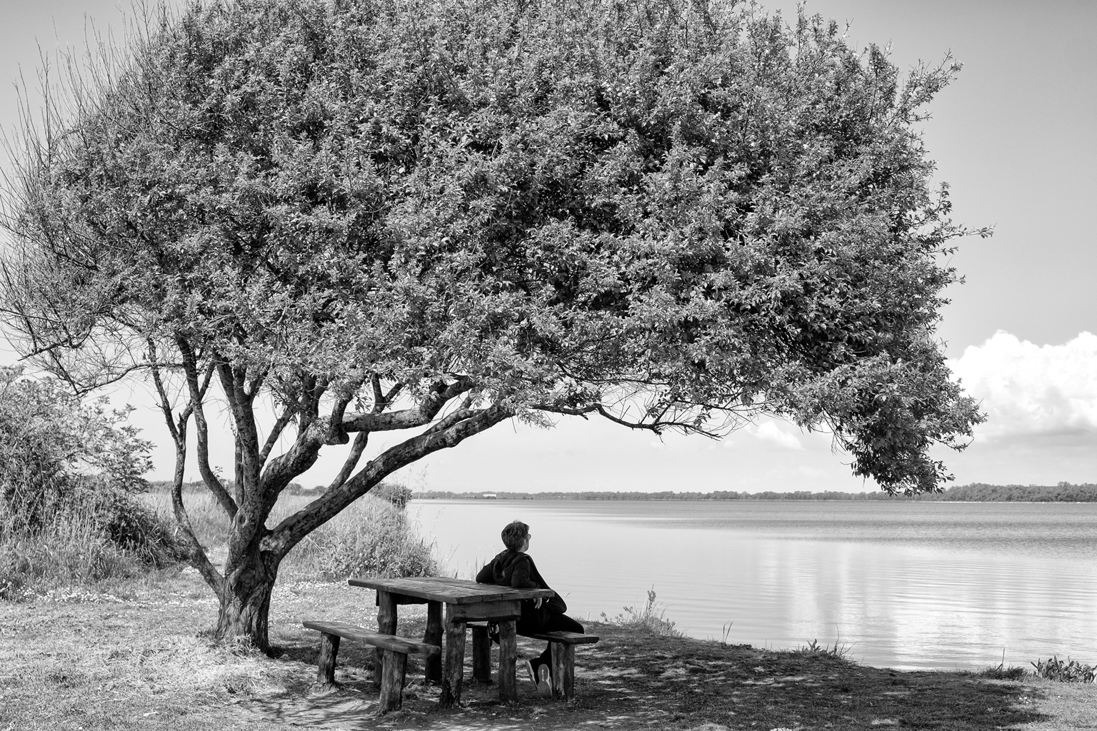 Lago di Fogliano (Lt)