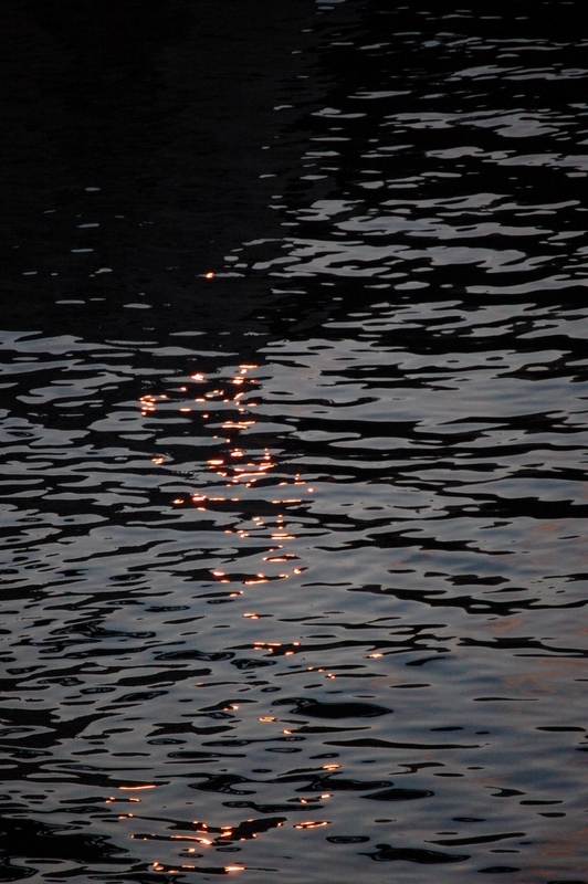 giochi di lice ed acqua