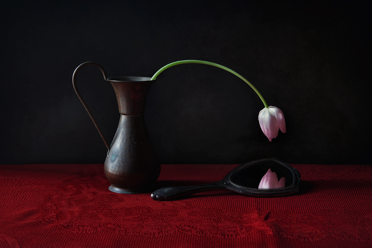 Pane e Tulipani 2025