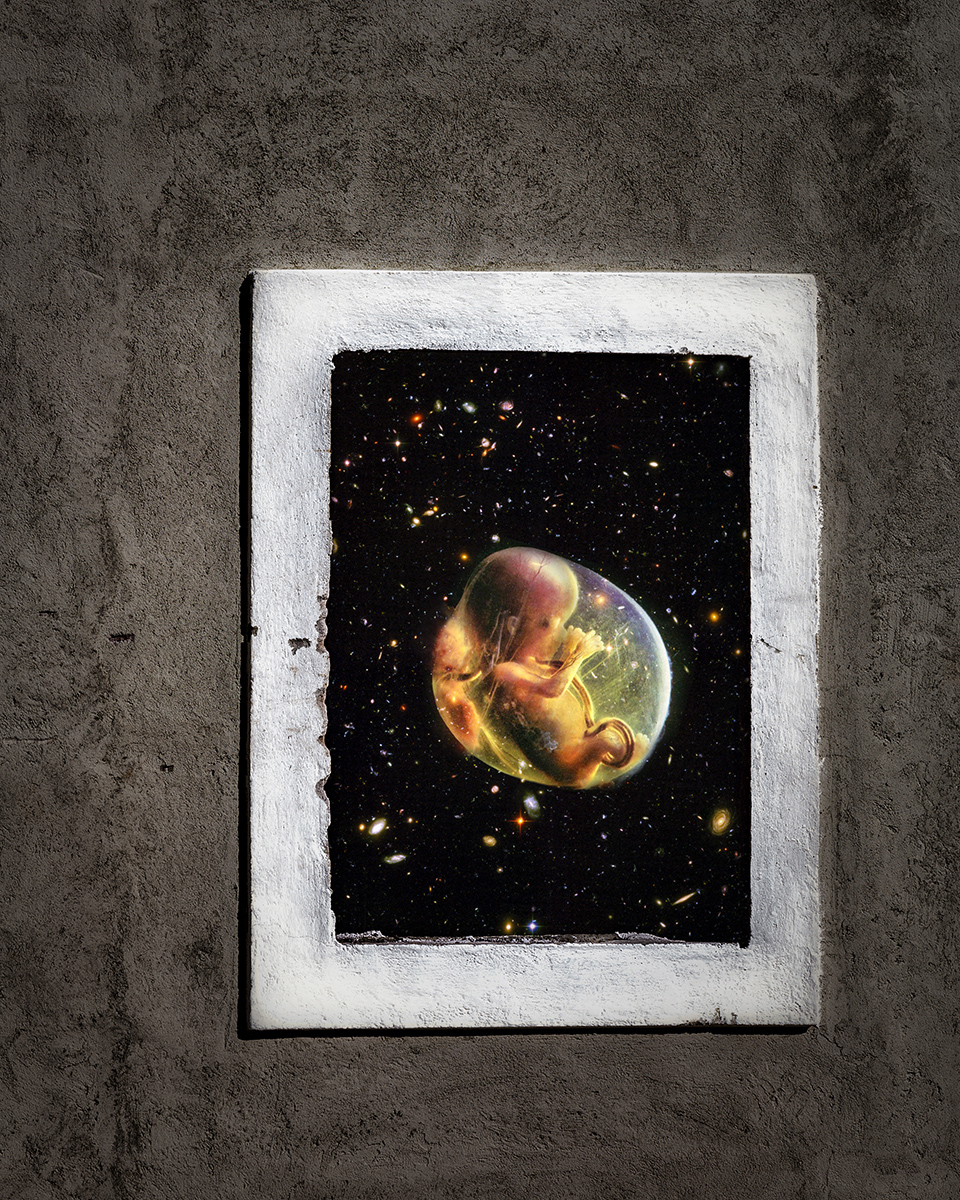 ... Oh mio Dio, � pieno di stelle!