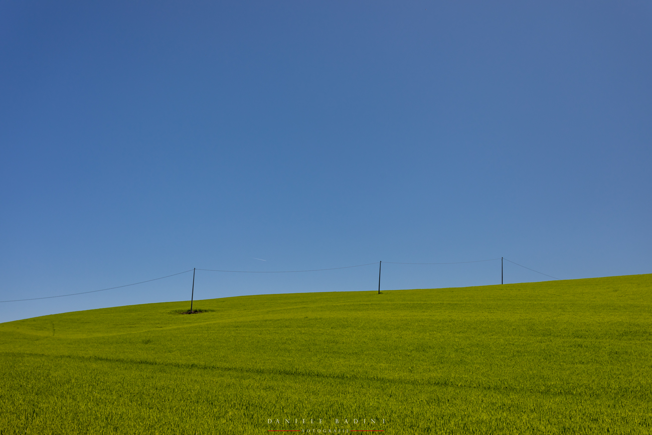 c'� sempre qualche palo