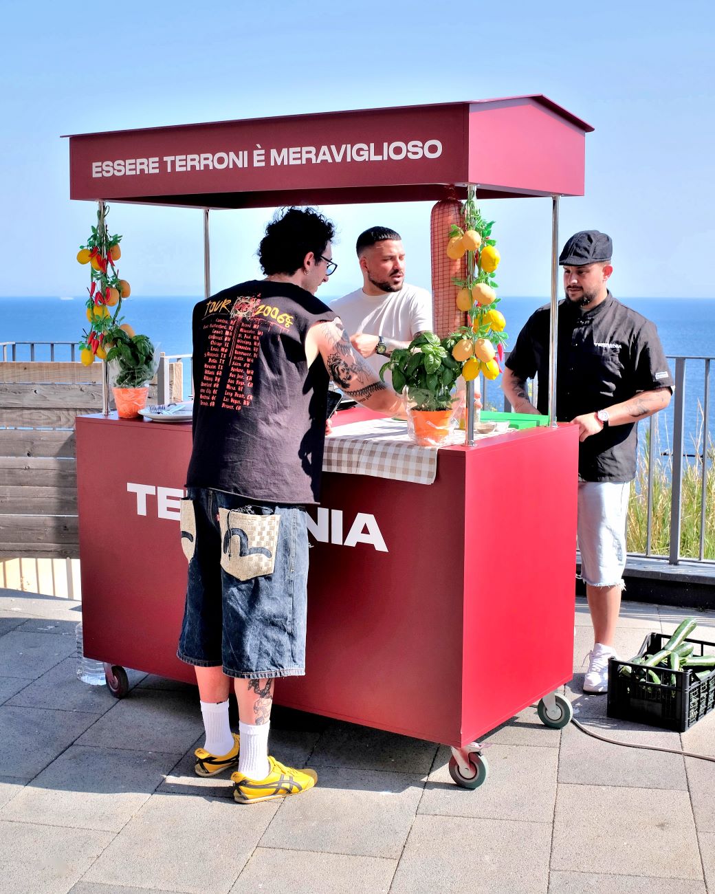 Meravigliosi terroni