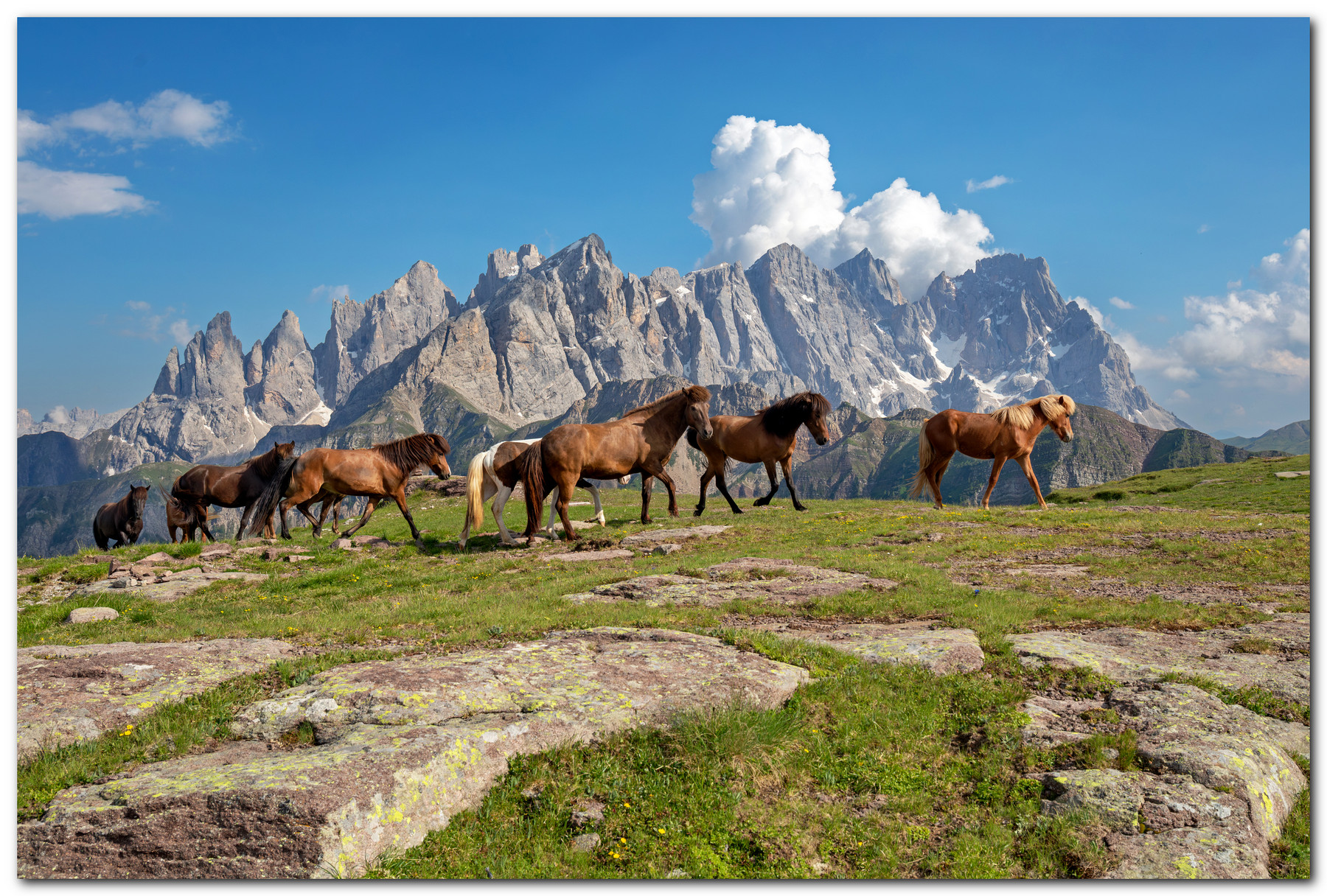 Sfilata davanti alle Pale