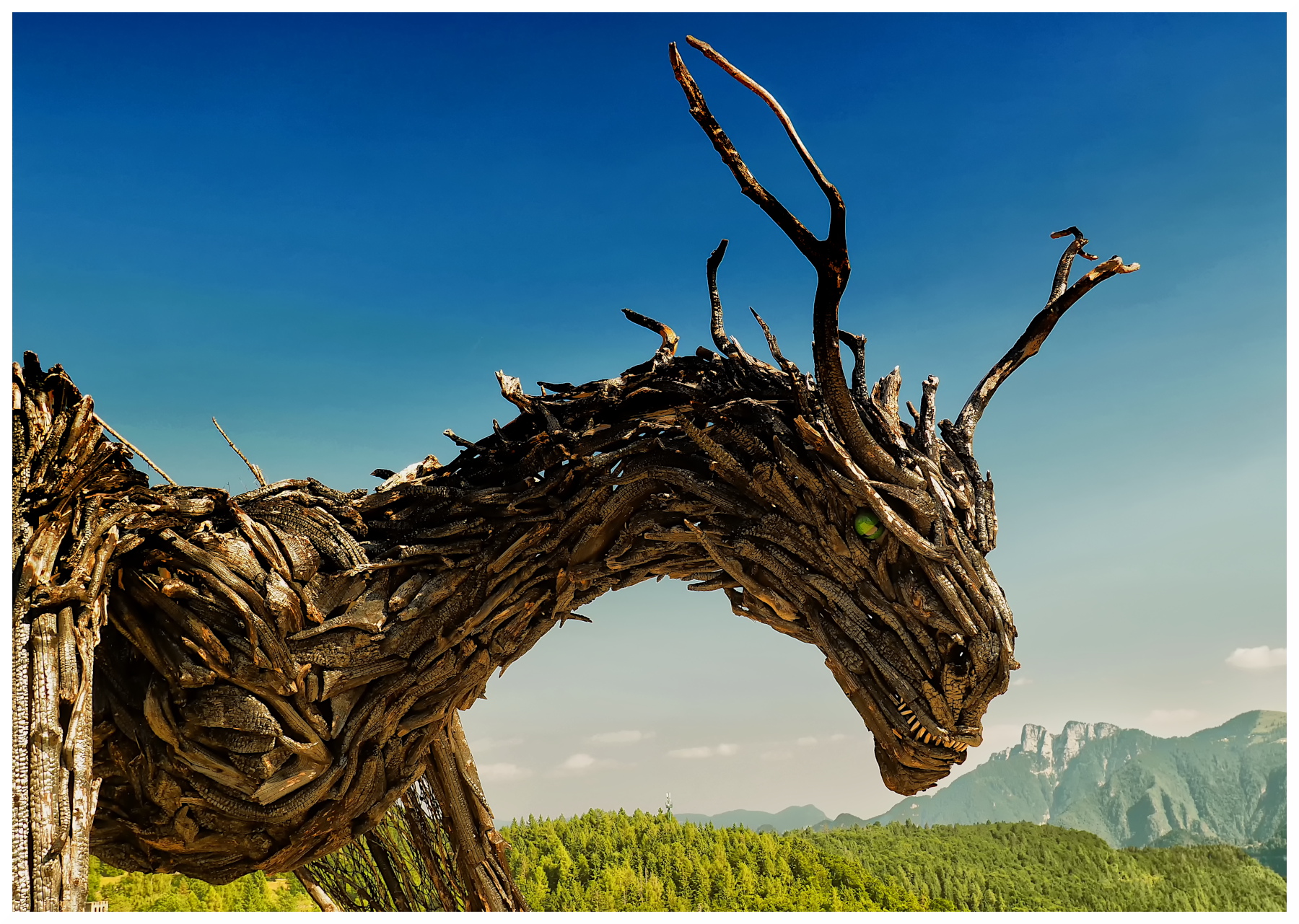 Drago Vaia Regeneration