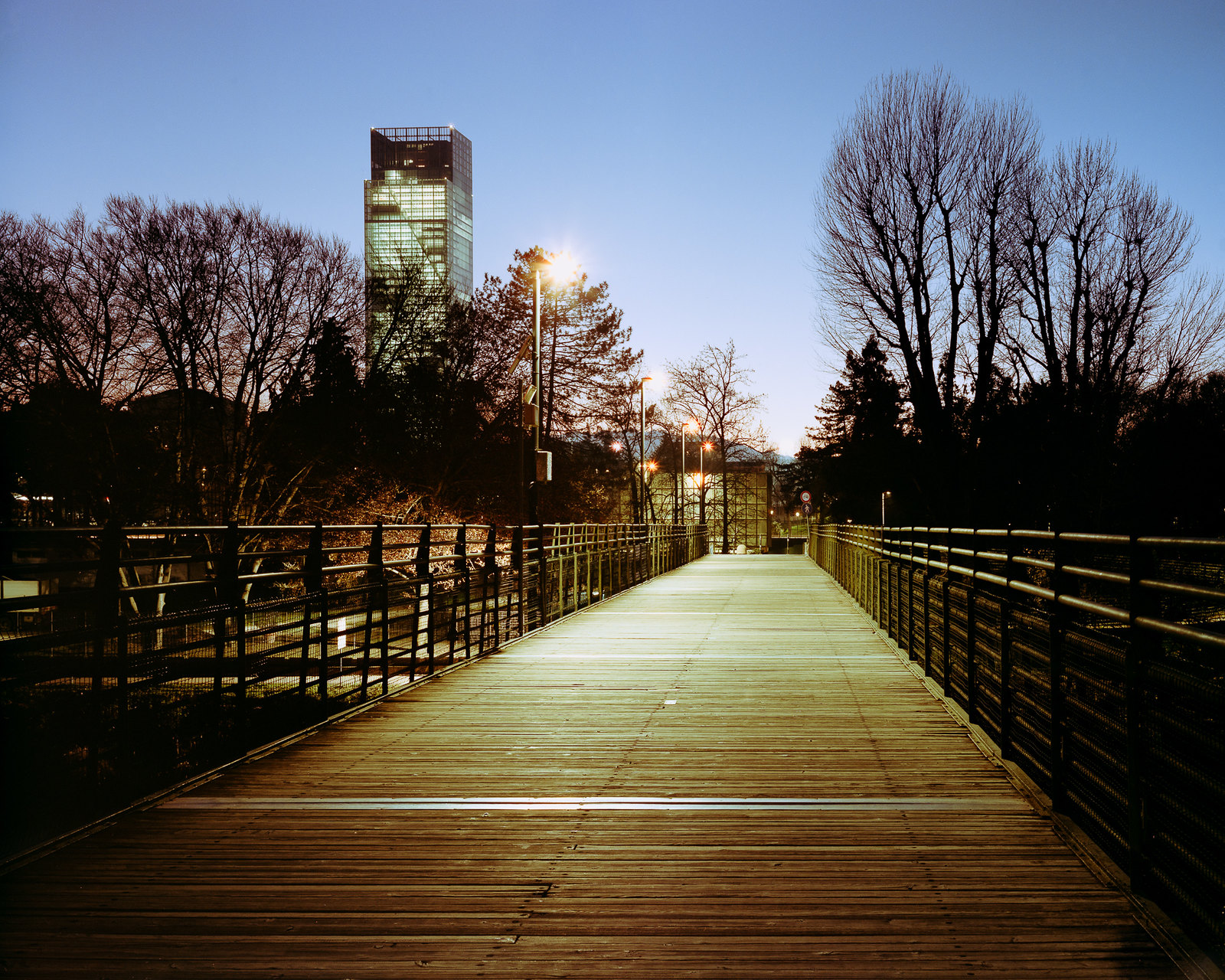 Intrepid 4x5 | Cinestill 400D
