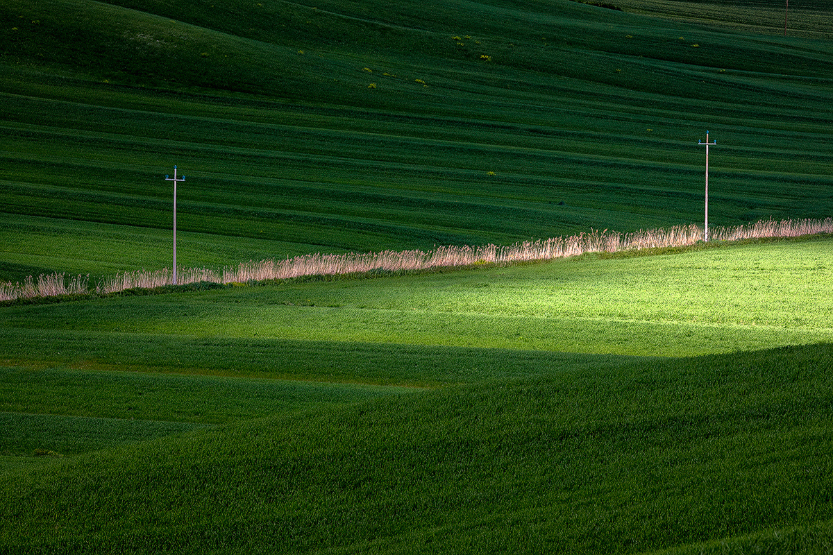 Linee, luci ed ombre