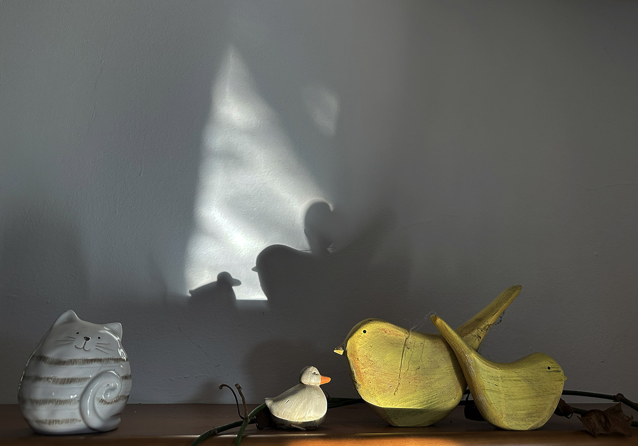 nella vecchia fattoria