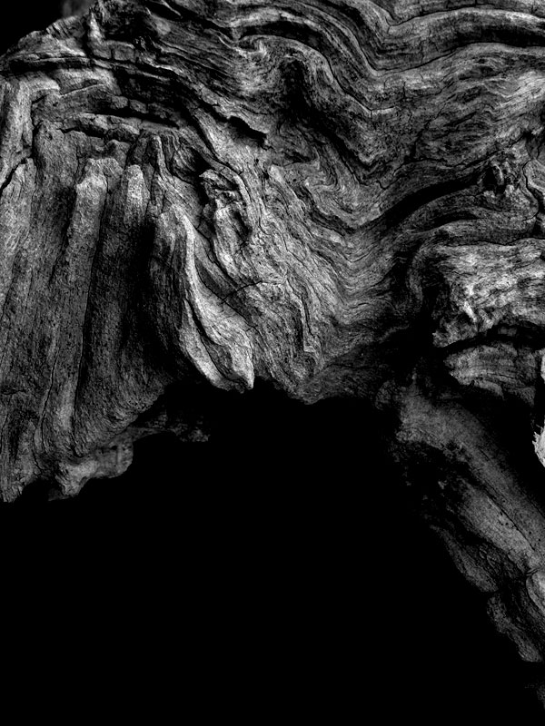 Il mito della caverna