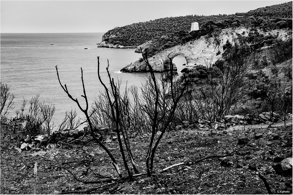 Archetto di San Felice