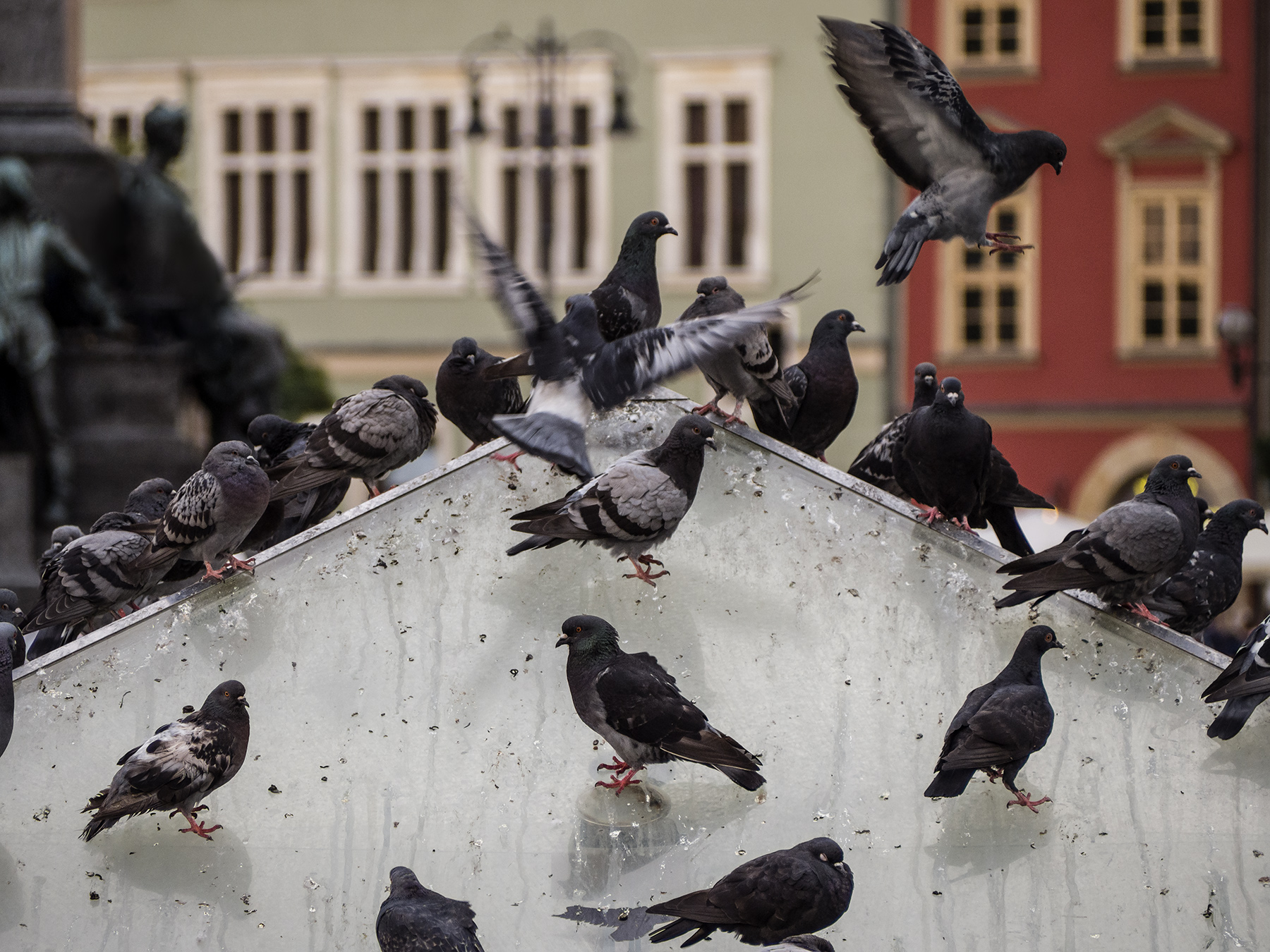 Cracovia - Piazza del Mercato