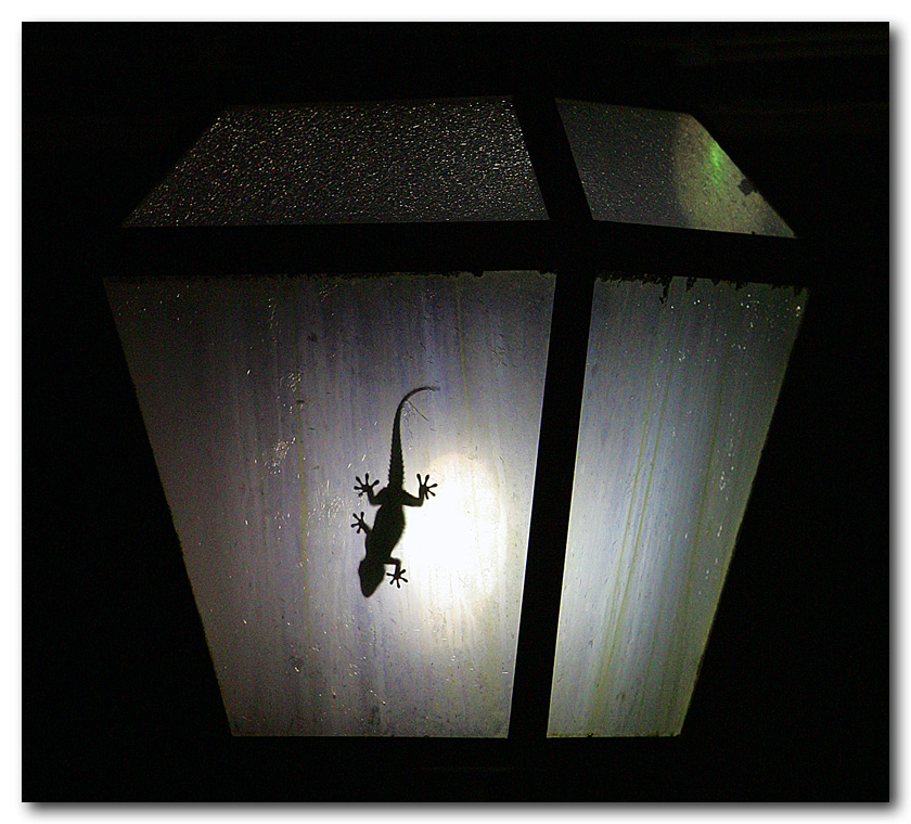 L'inquilino del lampione e l'ubriaco