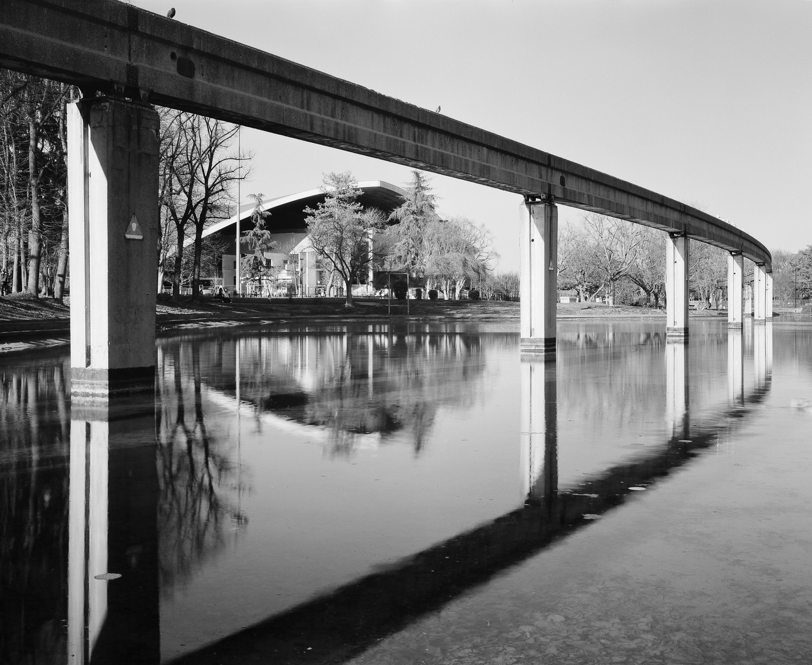 Intrepid 4x5 Fomapan 100