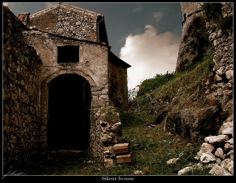 Silent house