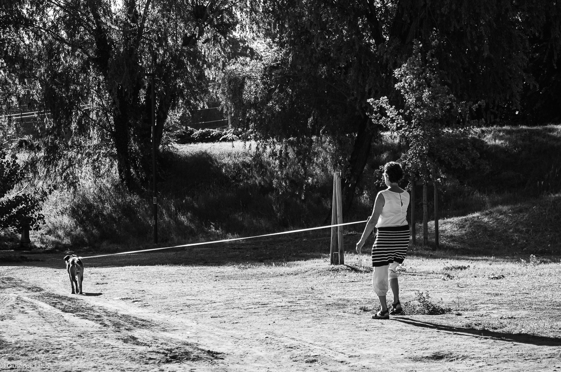 Libert� Obbligatoria