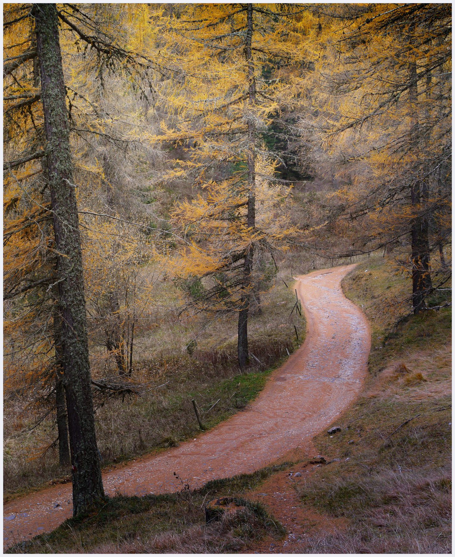 Valle del Cheserle al Rifugio Lancia in veste autunnale