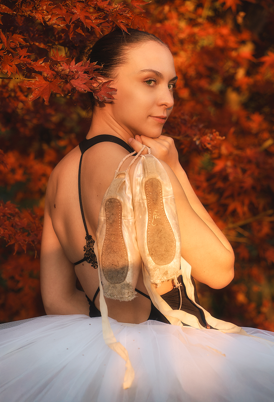 Al tramonto, presso l'acero