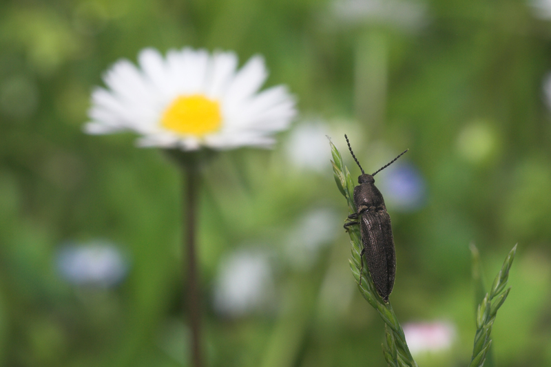 che vista da quass�