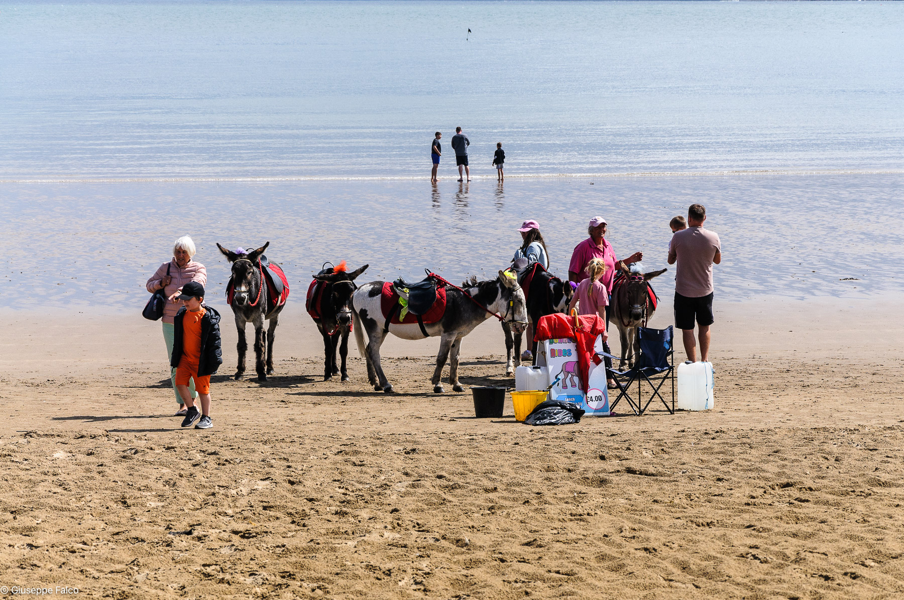 Dacci Solo 4 Monete...