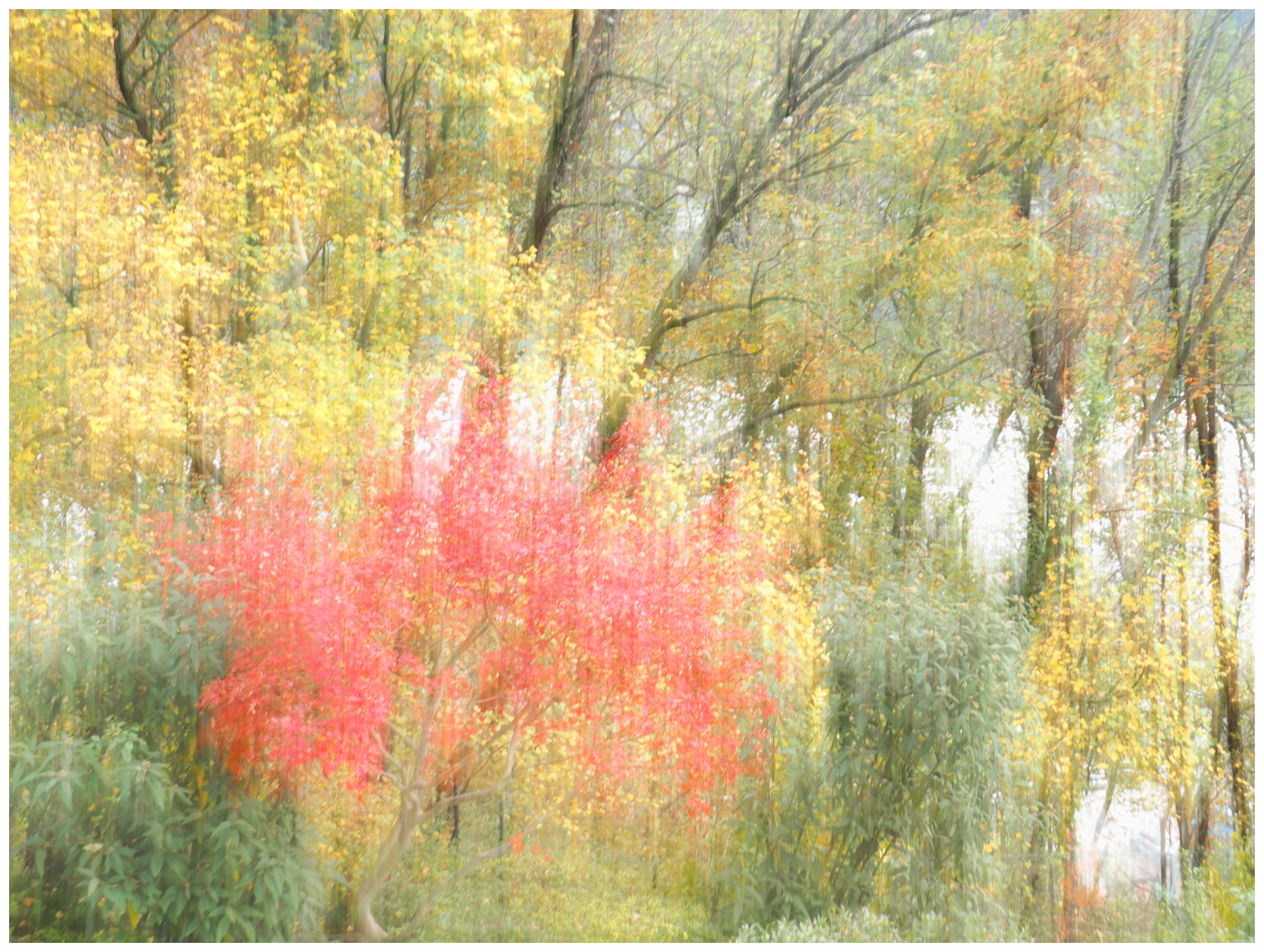 autunno creativo sui colli Berici