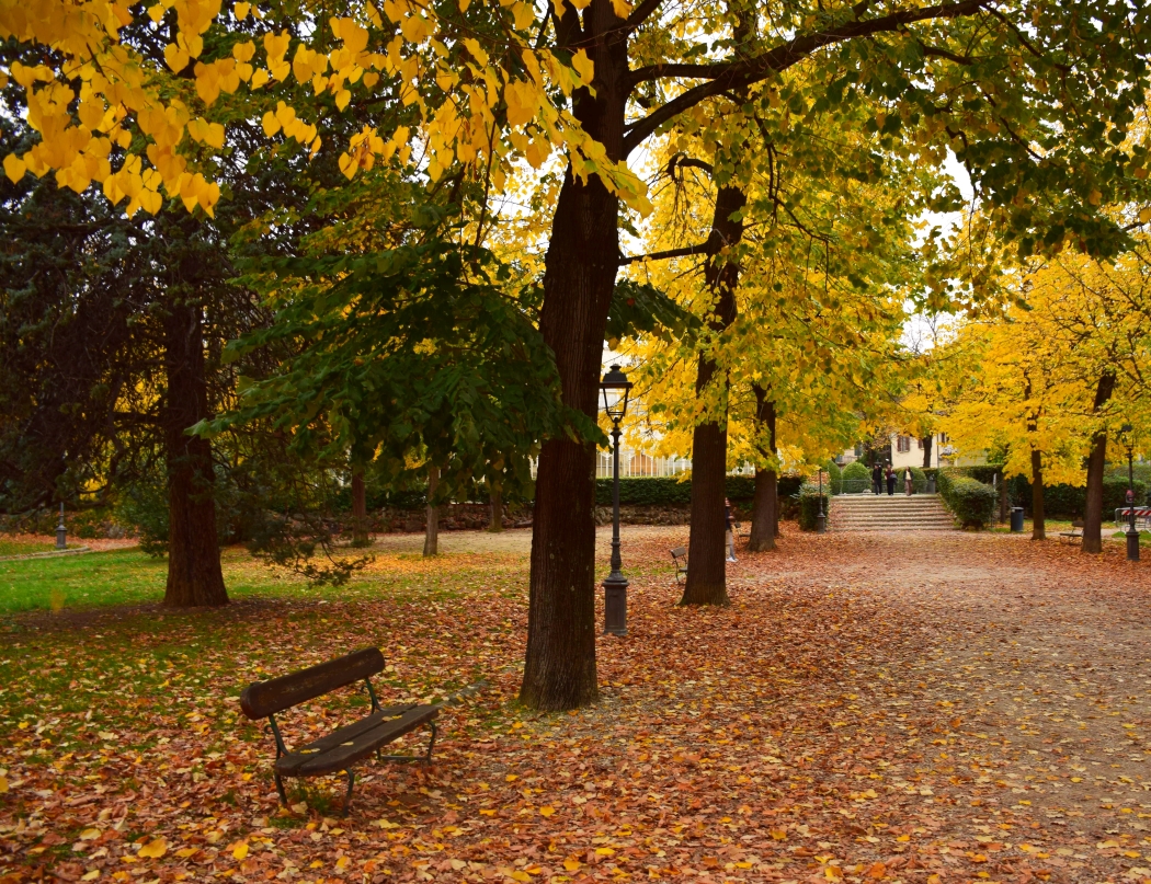 passeggiata nel parco 4