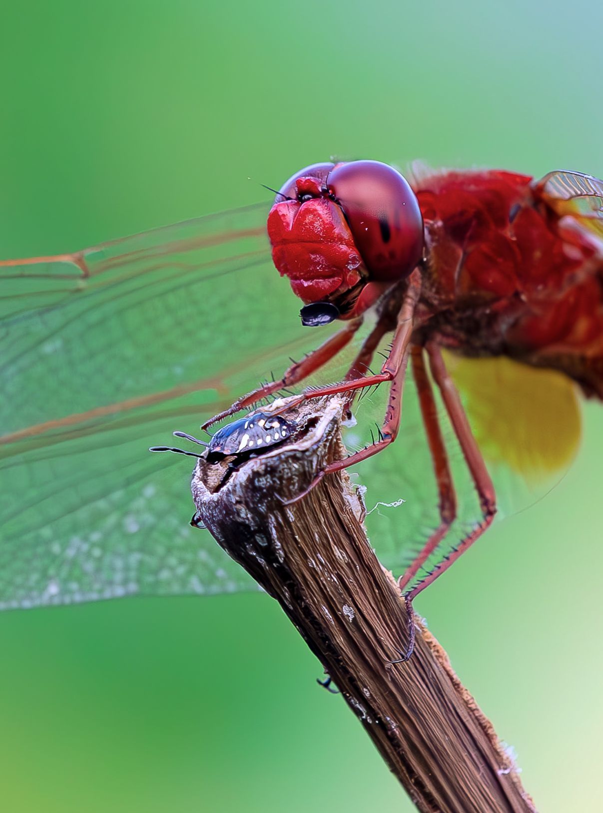 non preoccuparti , andr� tutto bene ...