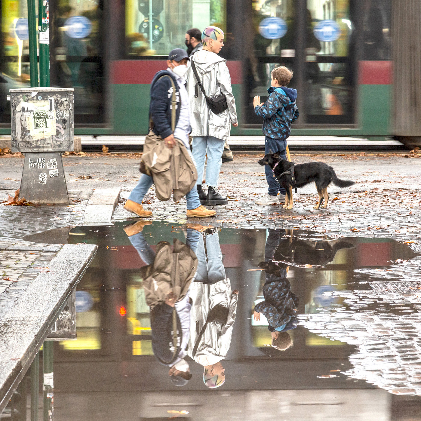 aspettando...il verde