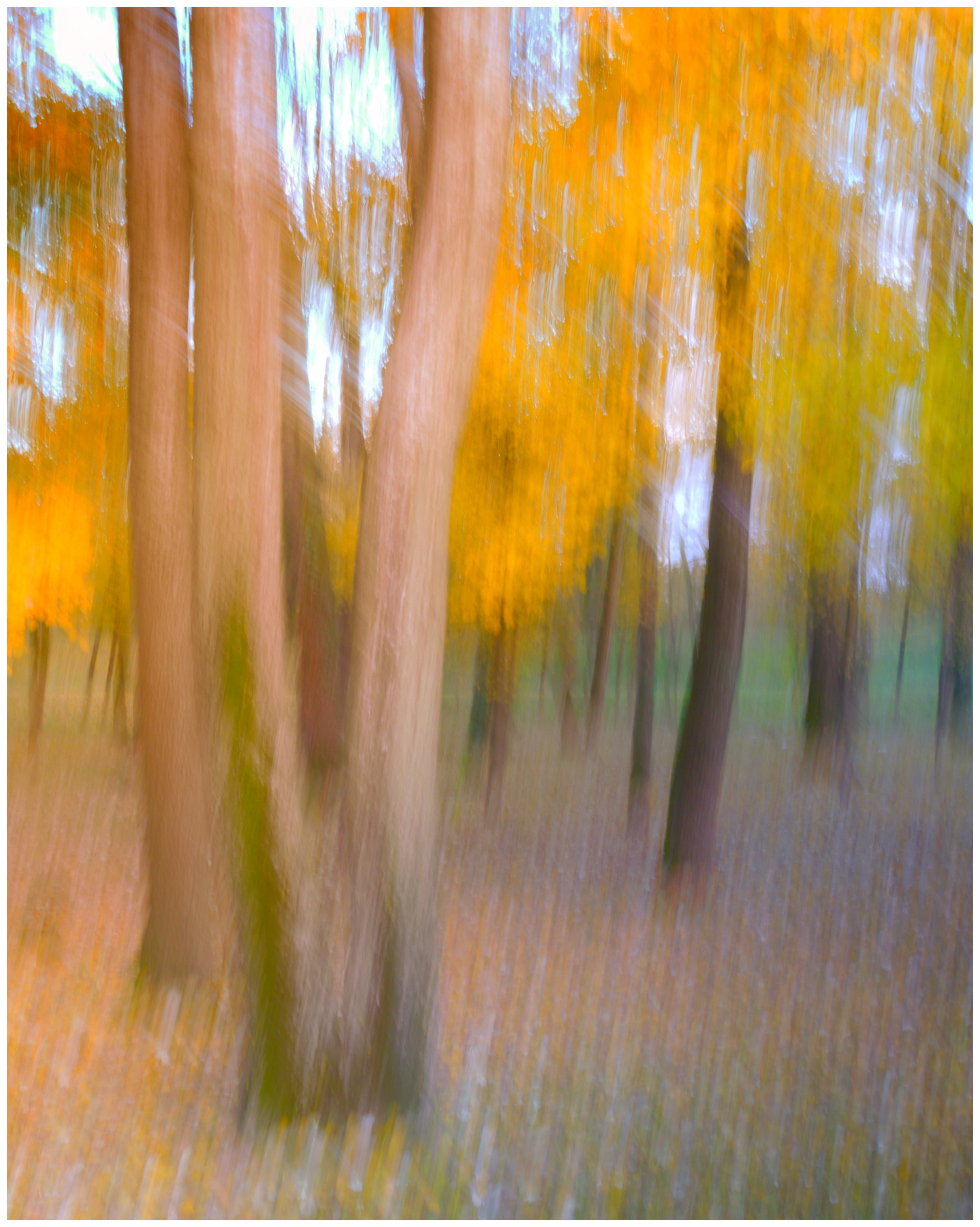 Autunno al Parco Astichello