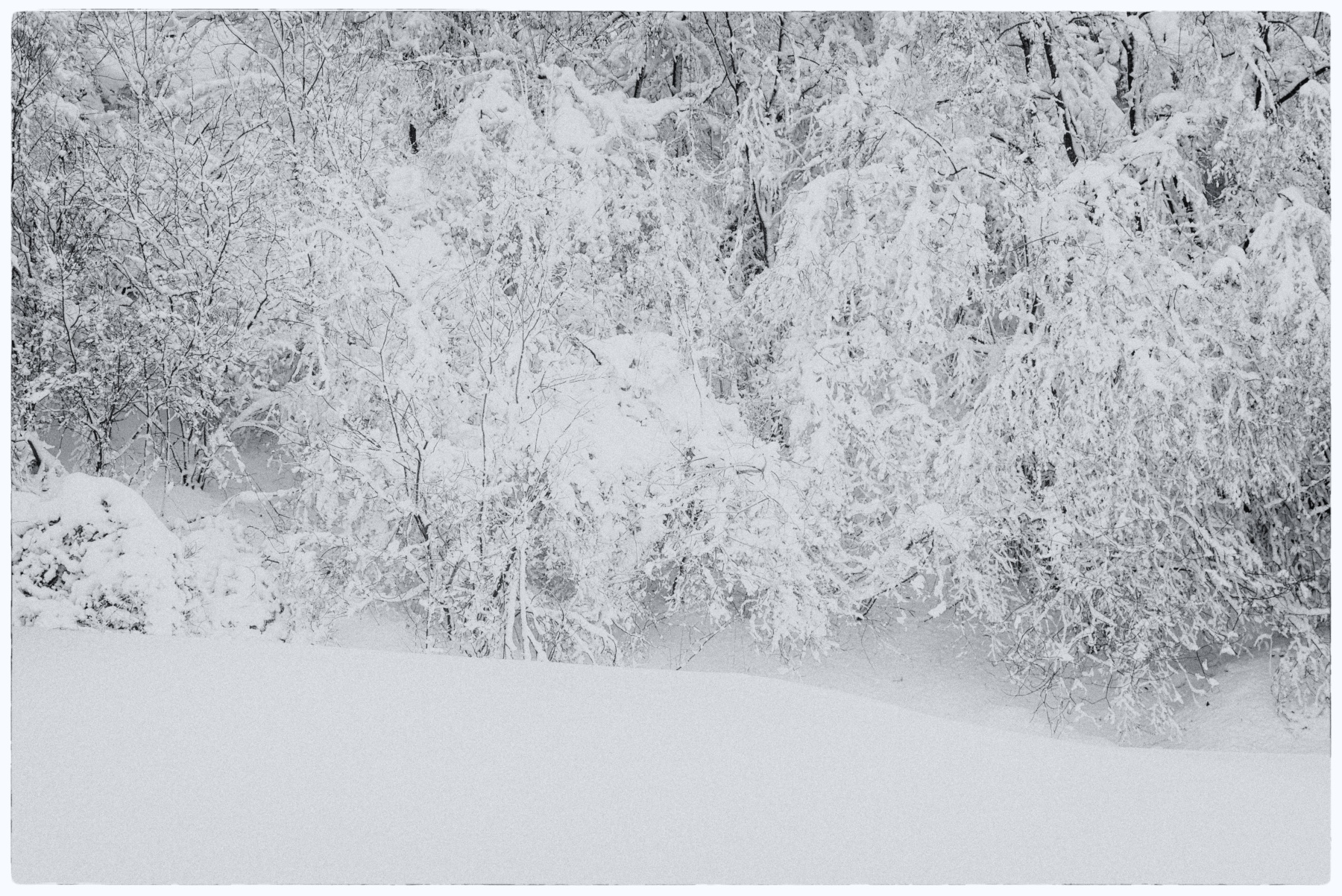 nel silenzio invernale a Pian delle Fugazze