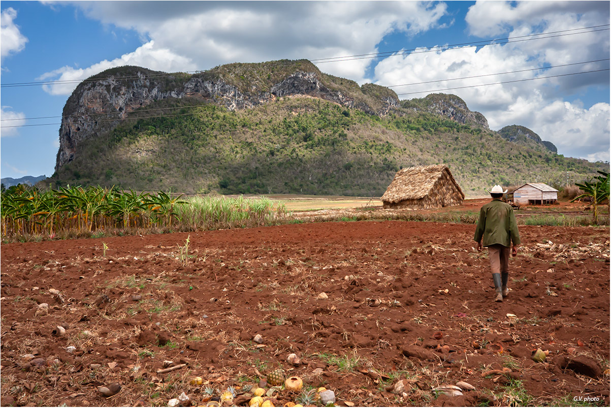 Campesino de Vinales
