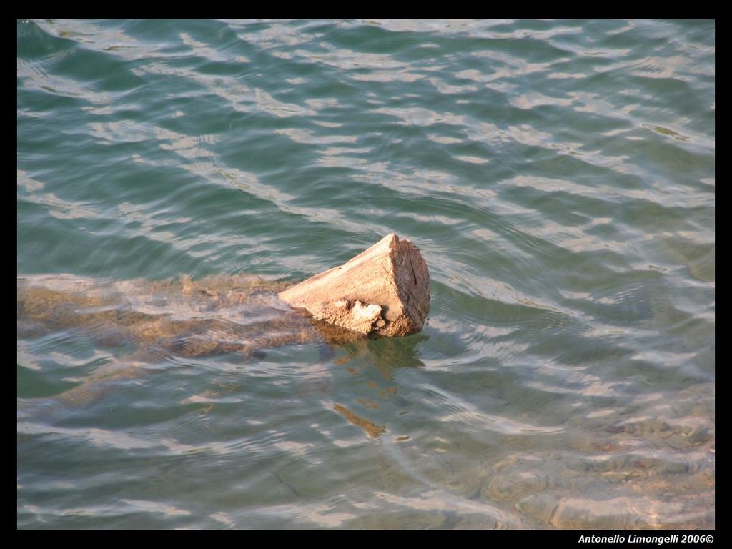 L'Acqua....alla gola