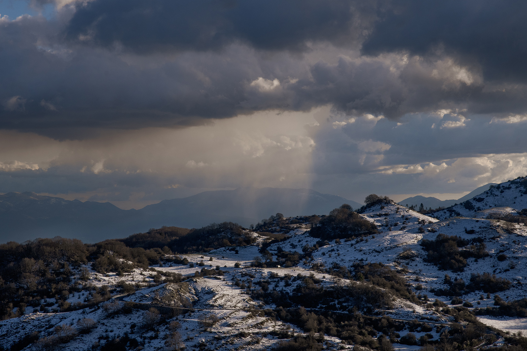 Guadagnolo_RM_Gen2026