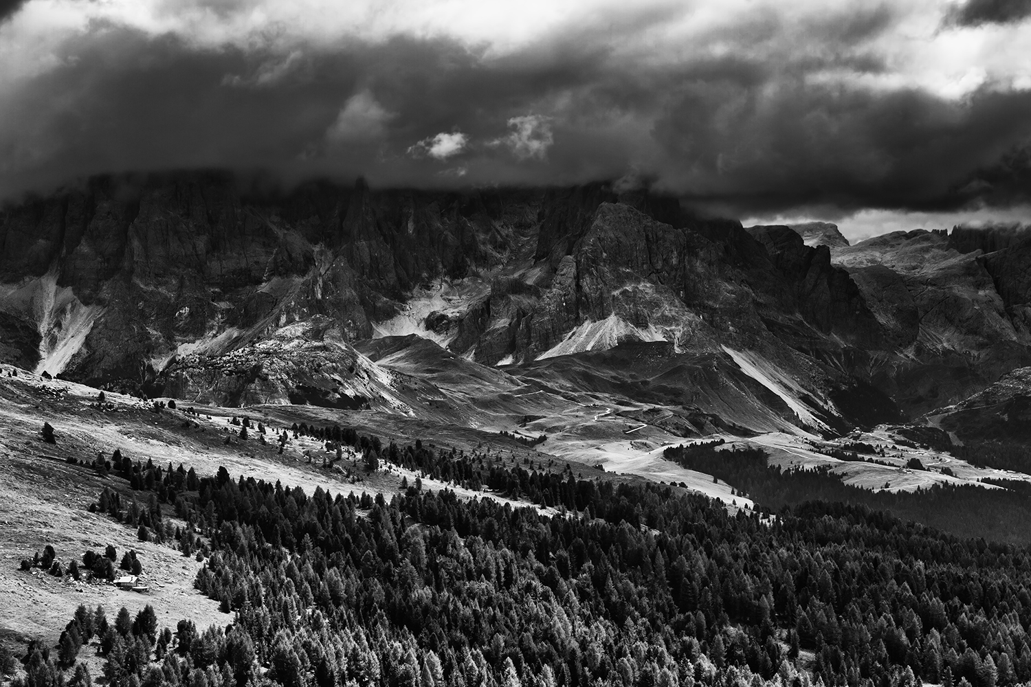 Pale of San Martino I