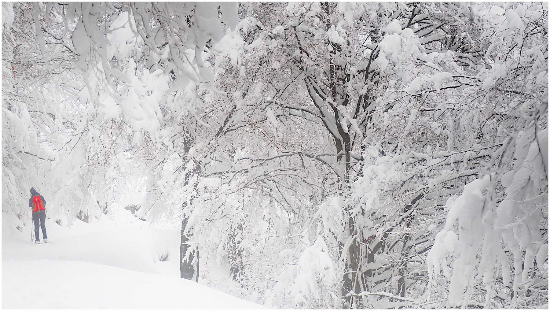 escursionista nel silenzio invernale
