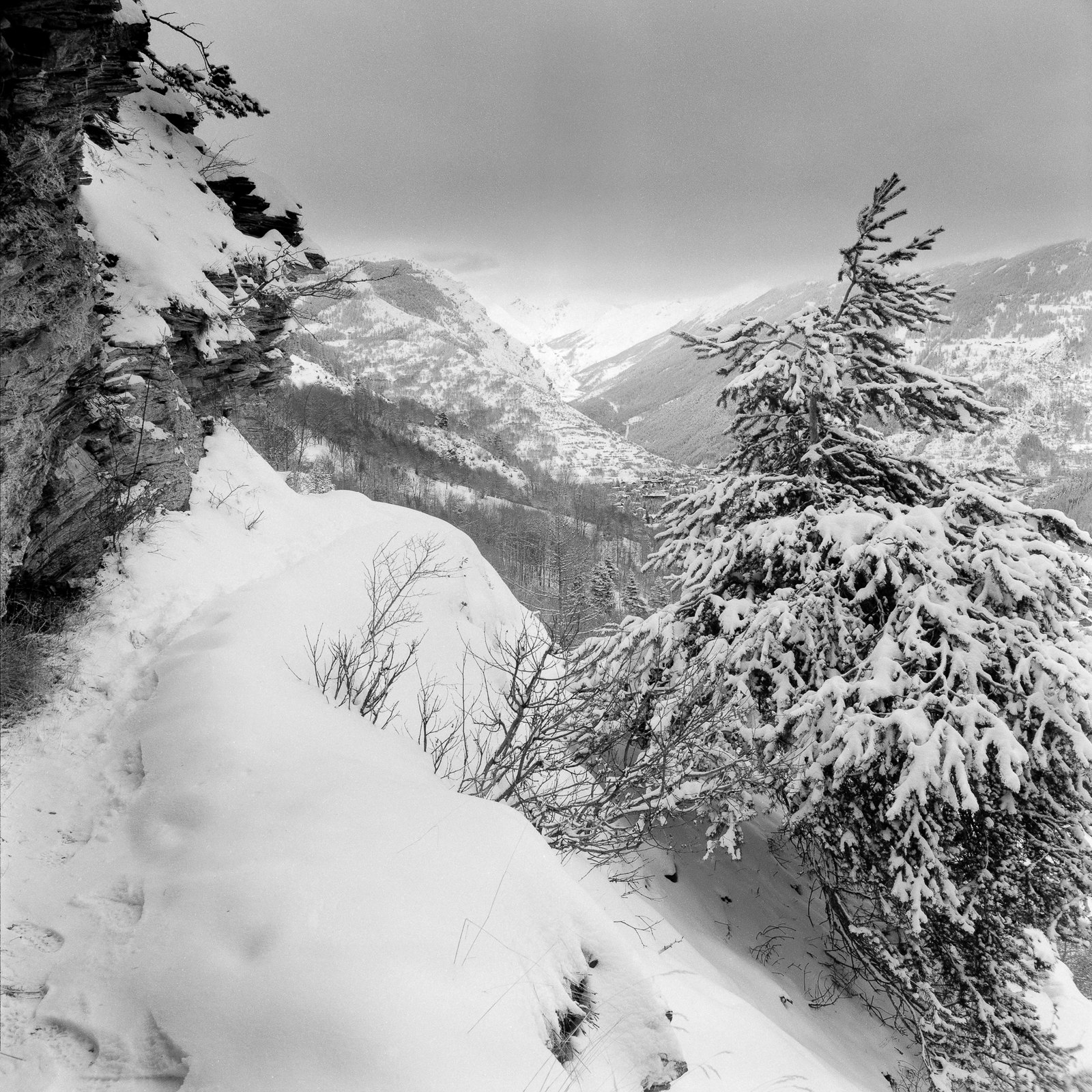 Zenza Bronica SQ-A | Fomapan 100