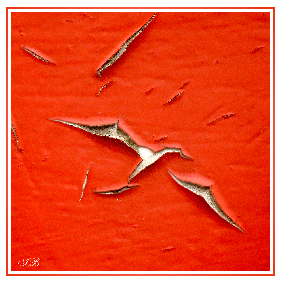 Flight in the red sky