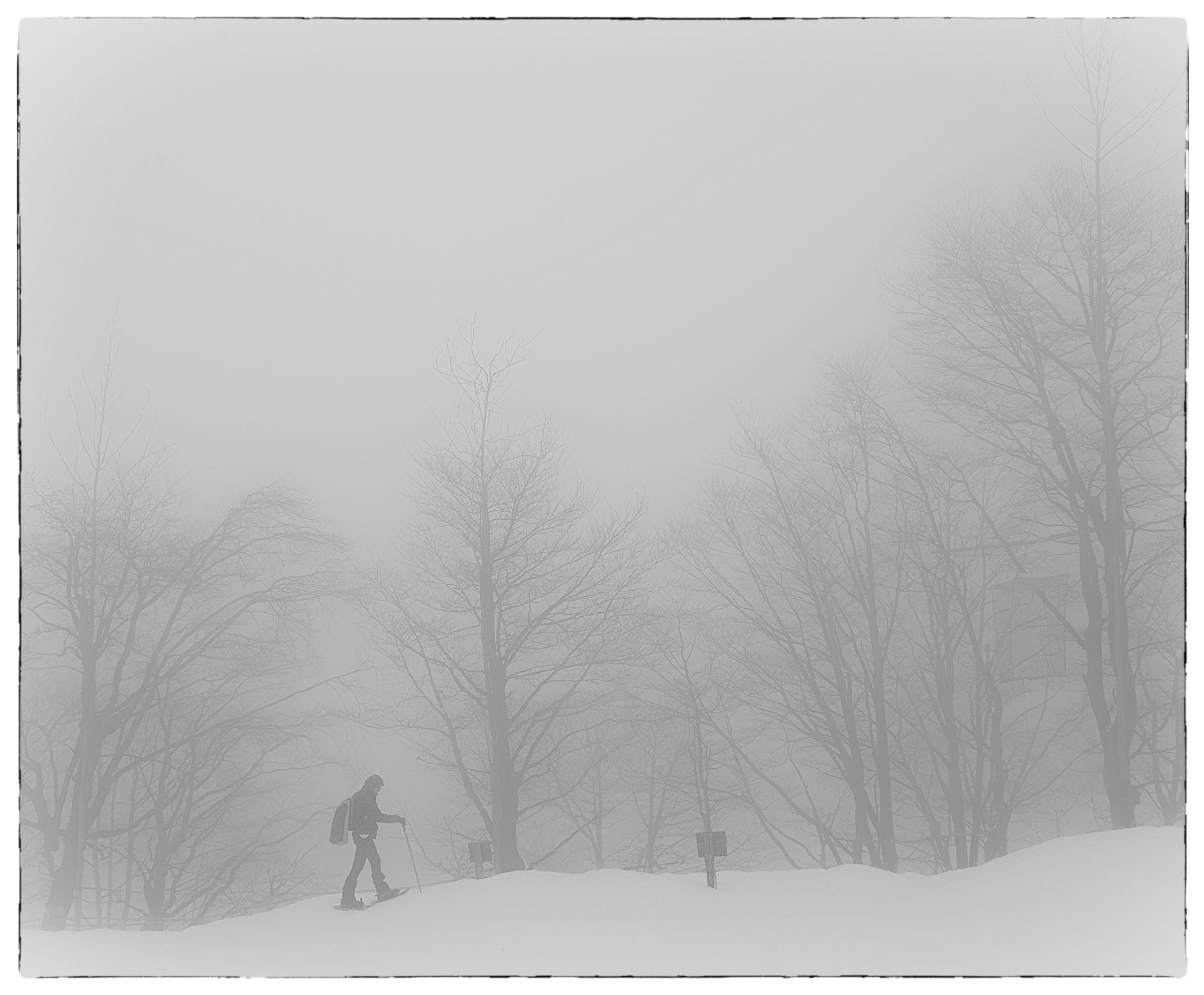 autoscatto nel silenzio, tra neve e nebbia