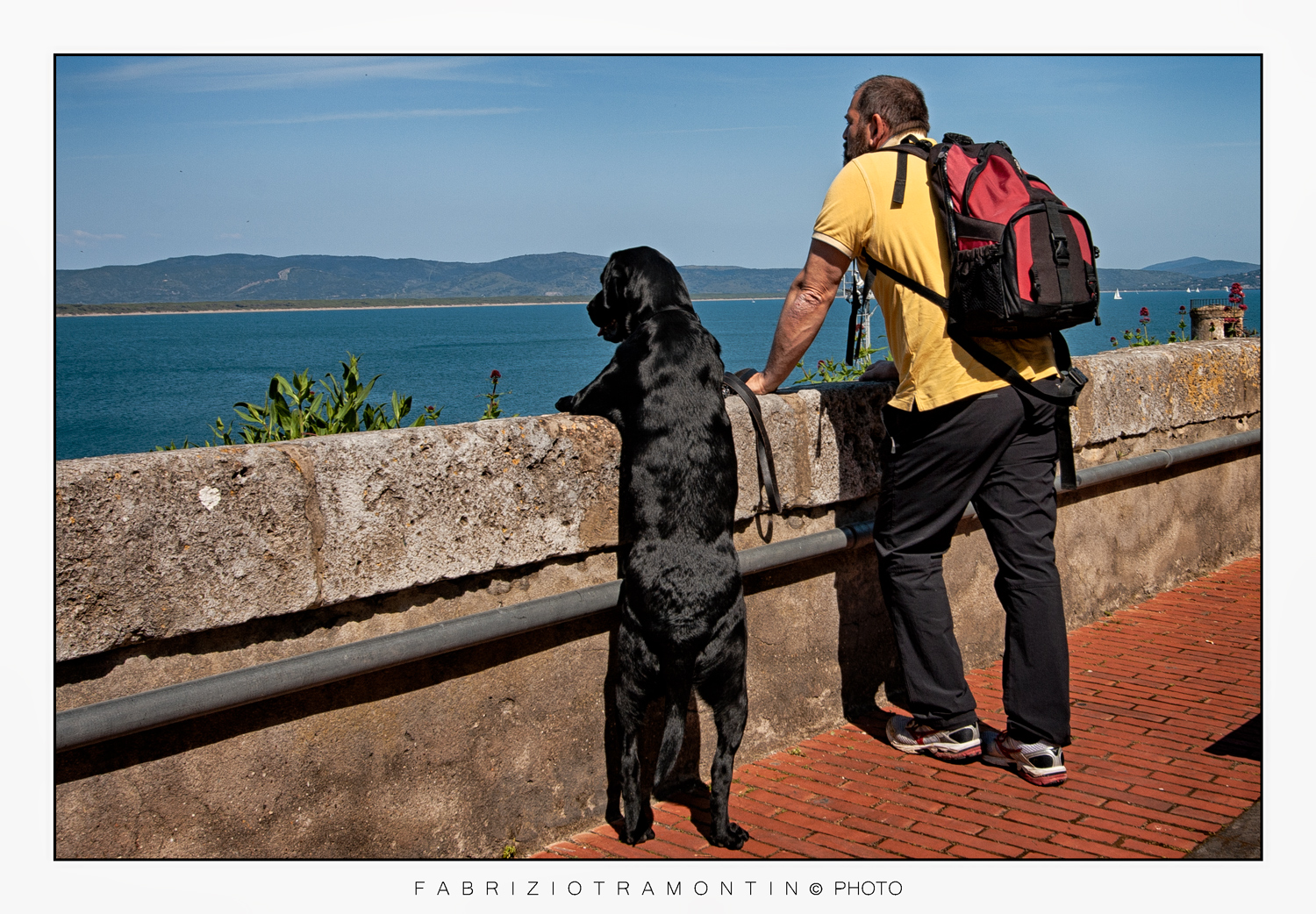 Lo vedi anche tu? Arf!