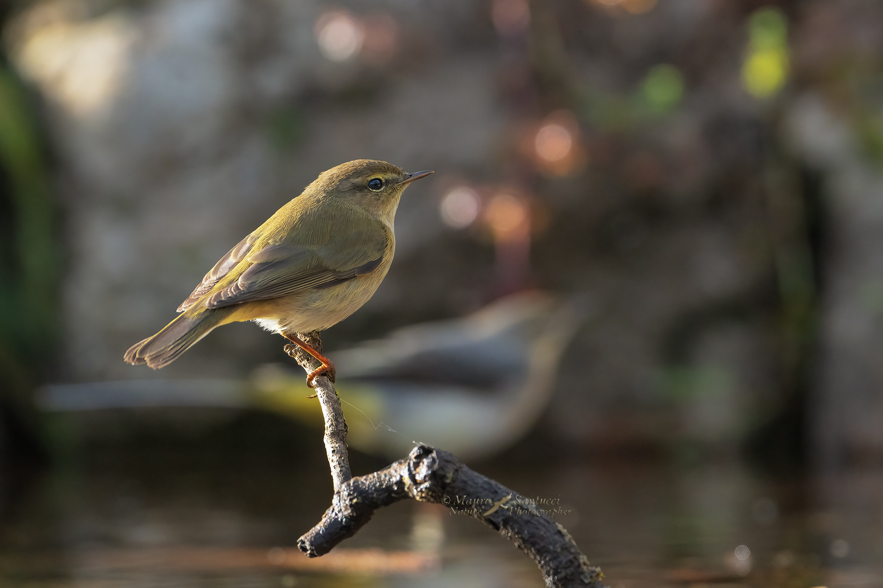 Lu�-piccolo-con-ballerina-gialla-sullo-sfondo_DSC03836