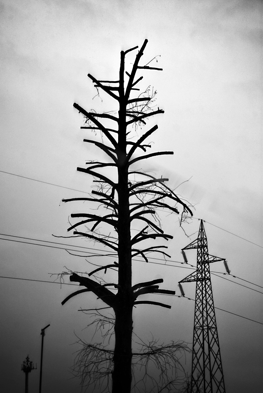 In un giorno di pioggia