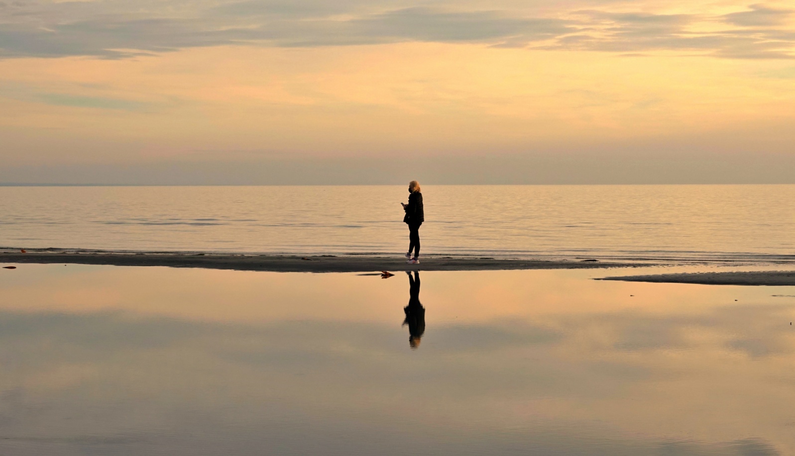 La solitudine