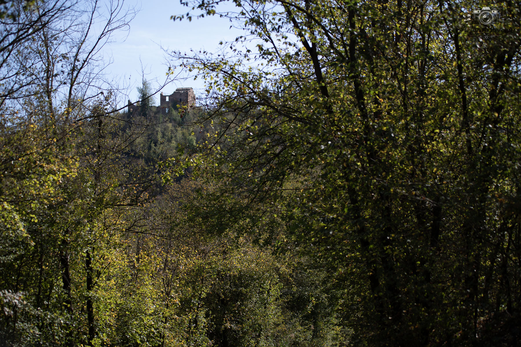 Paesaggio rurale