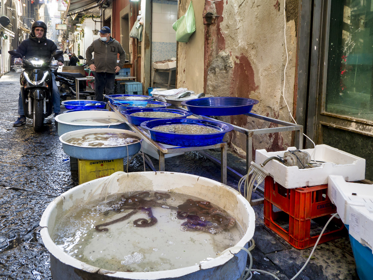 Mercato del pesce
