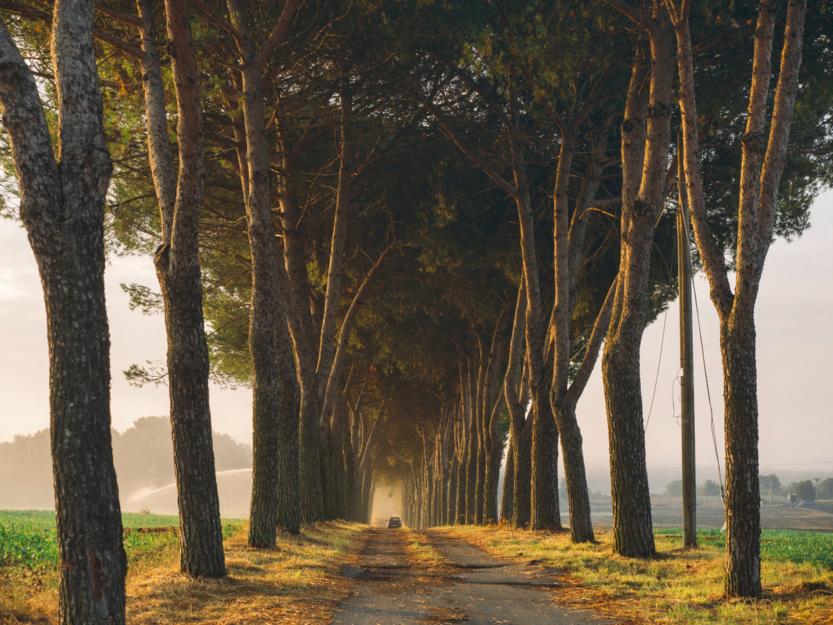 La lunga strada